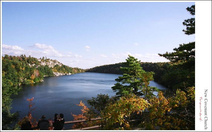 TCE0001-20091019-230639 - Copy.jpg